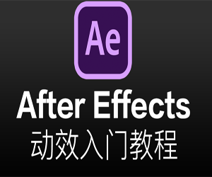 【AE动效入门指南】After Effect