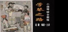 赵微学琴之路_赵微小提琴综合教