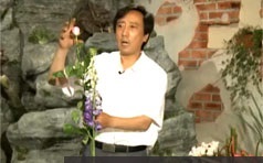 [花艺入门]零基础学习现代花艺插