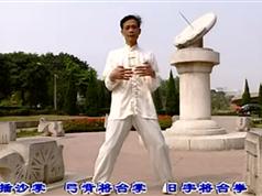 彭南系咏春拳系统教程_木人桩小
