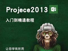 project2003中文视频教程免费在