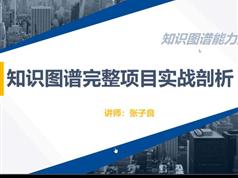 知识图谱项目实战开发视频教程（全