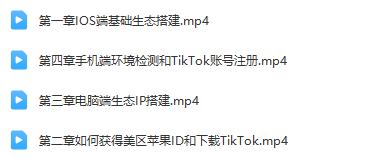 学习TikTok账号系统的打造，开启新