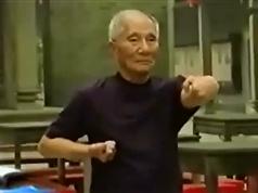 叶准咏春拳整套教学_正宗咏春拳