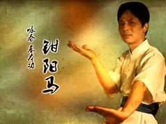 咏春拳基础入门教程_学习咏春拳