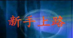 新手上路股票入门视频在线学习、观看_175