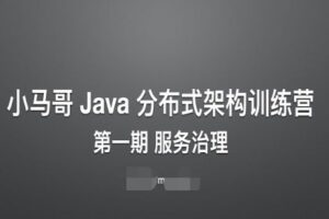 第一期服务治理训练营：小马哥带你