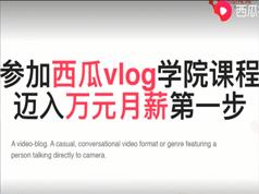 西瓜学院vlog培训教学视频全集(
