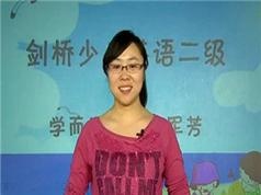 剑桥少儿英语二级同步教学视频全