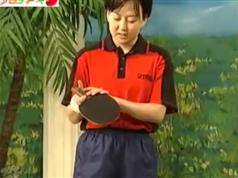 赵霞《学打乒乓球4集全》乒乓球