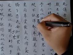 《硬笔书法入门到进阶篇学习》全