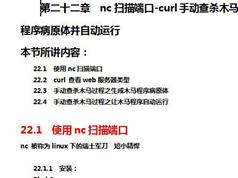 nmap和curl工具攻防实战演练视频