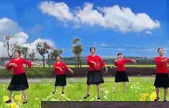 中老年广场舞健身舞教学视频分解