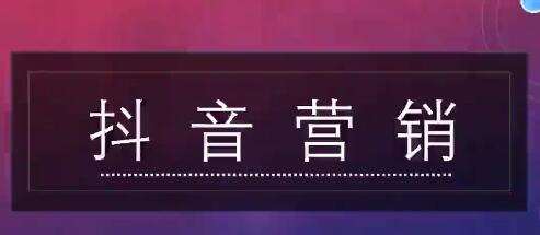 蕊总很忙的短视频营销培训实操课