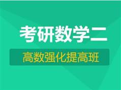高等数学考研重要考点知识串讲全