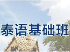泰语实用初级培训视频-泰国语入