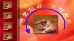 万婴育儿-万婴育儿跟踪指南在线观看与下载