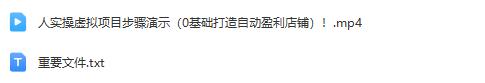 人实操虚拟项目步骤演示（0基础打