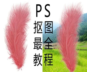 Photoshop零基础抠图秘技：抠图效