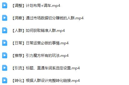 淘宝【精准人群】运营+推广训练