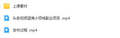 黄岛主的《头条视频收益蓝海小副