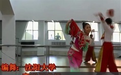 广场舞之《东北秧歌》全套教学视频课程（30集）