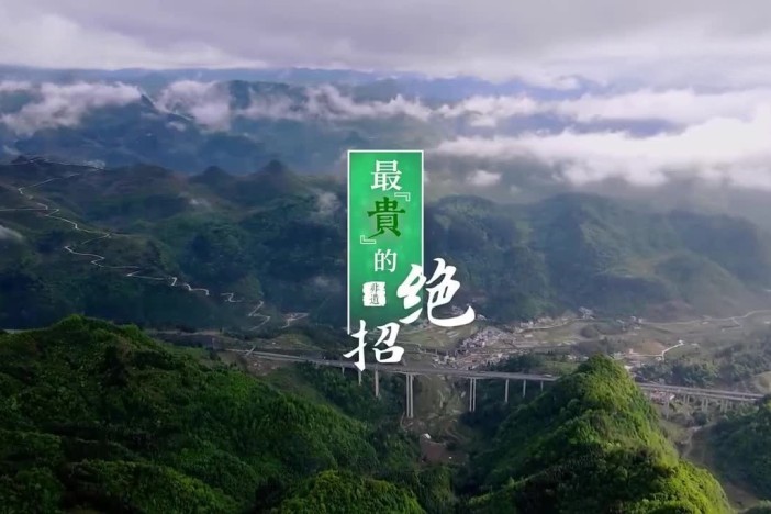 最“贵”的绝招