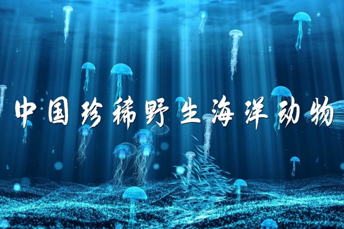 中国珍稀野生海洋动物