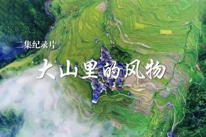 大山里的风物