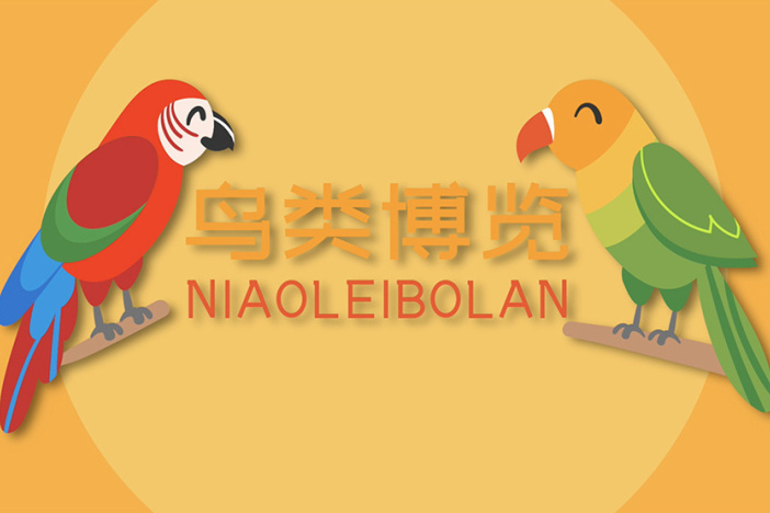 鸟类博览：鸣禽