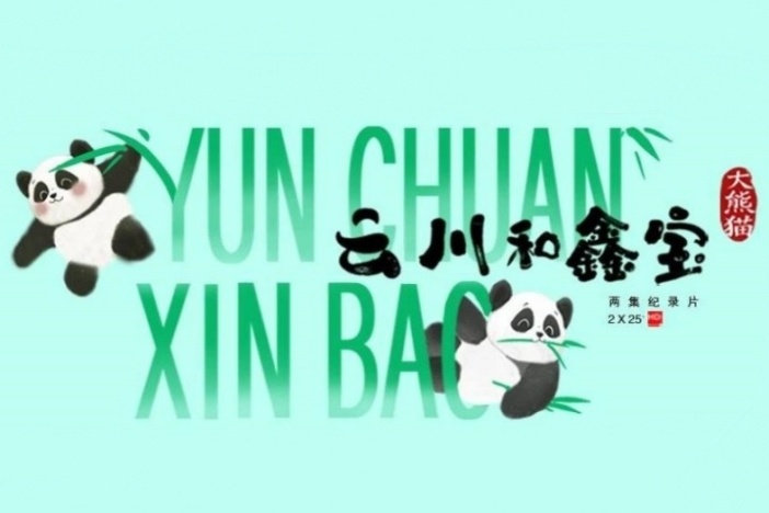 大熊猫云川和鑫宝