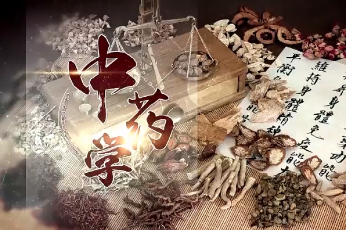 中药学（一）