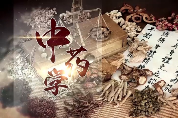 中药学（二）