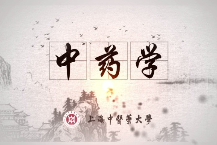 中药学之分论