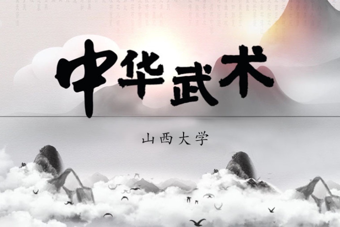 中华武术