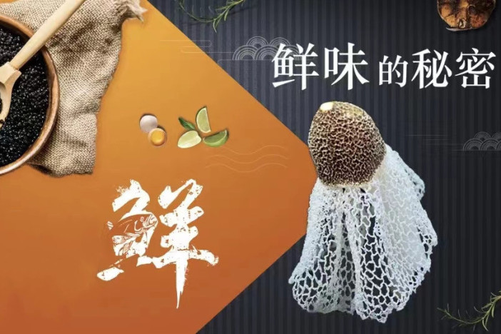 鲜味的秘密