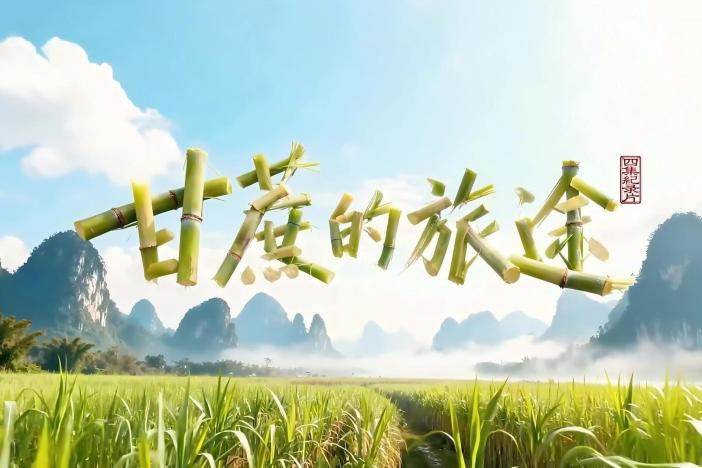 纪录片《甘蔗的旅途》