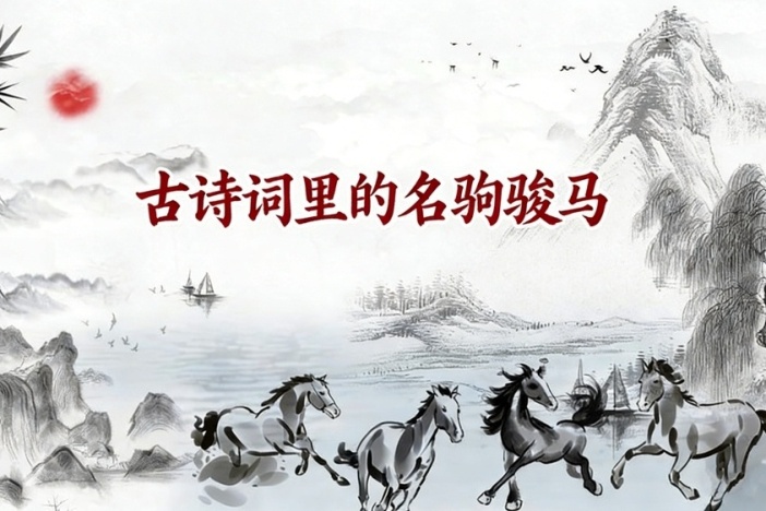 古诗词里的名驹骏马