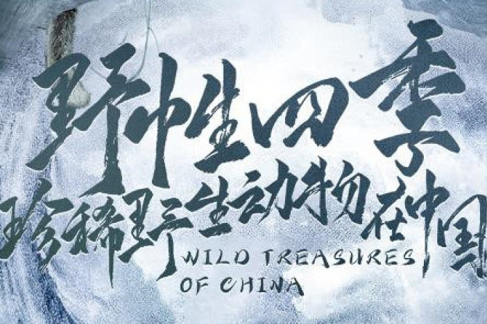 野性四季：珍稀野生动物在中国