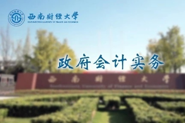 政府会计实务