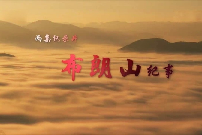 布朗山纪事