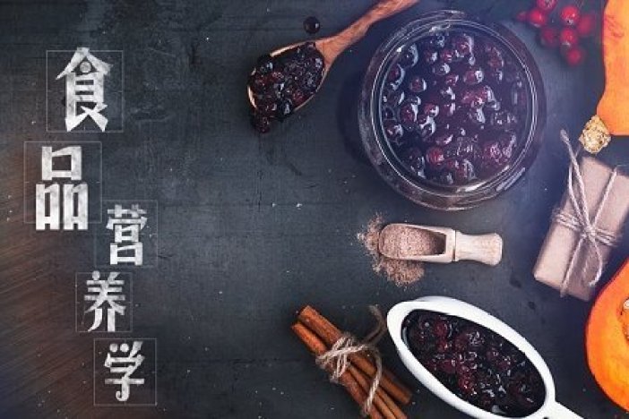 食品营养学