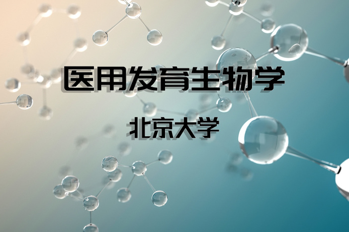 医用发育生物学