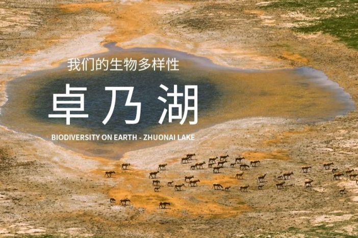 我们的生物多样性——卓乃湖