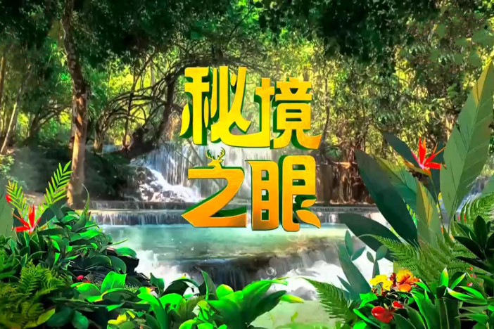 秘境之眼·2024（精选）