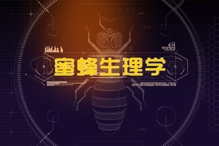 蜜蜂生理学