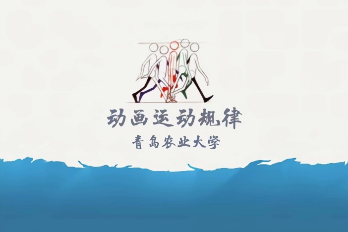 动画运动规律