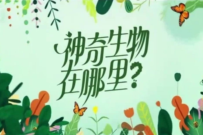 神奇生物在哪里