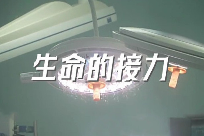 生命的接力