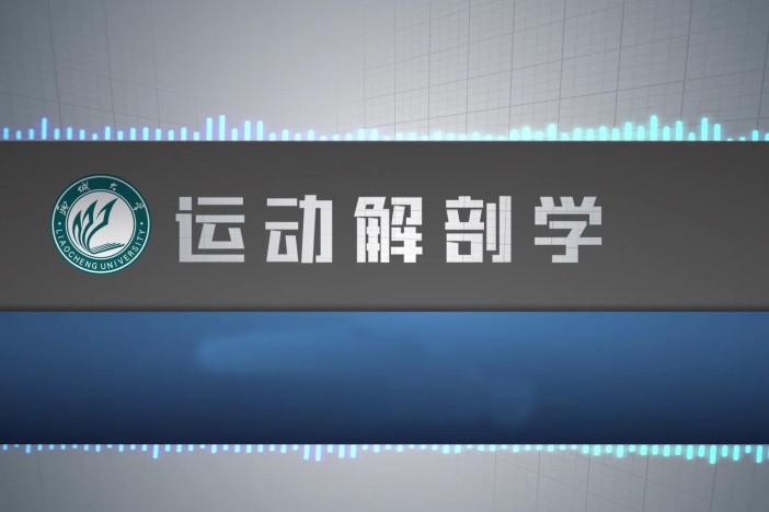 运动解剖学